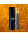 LADY GAGA FAME