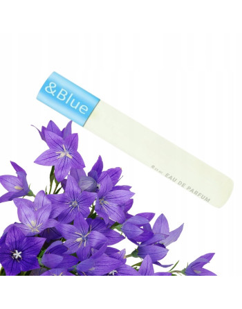 D&G LIGHT BLUE