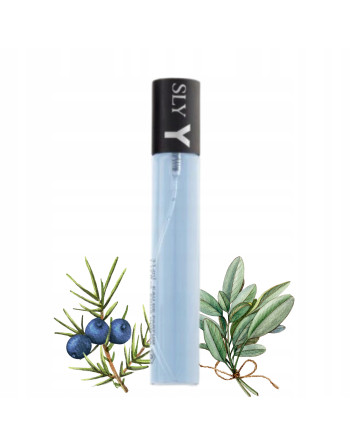 YVES SAINT LAURENT LA NUIT DE L'HOMME
